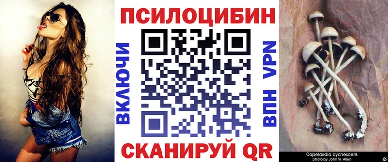 Псилоцибиновые грибы Magic Shrooms купить закладку Верхнеуральск